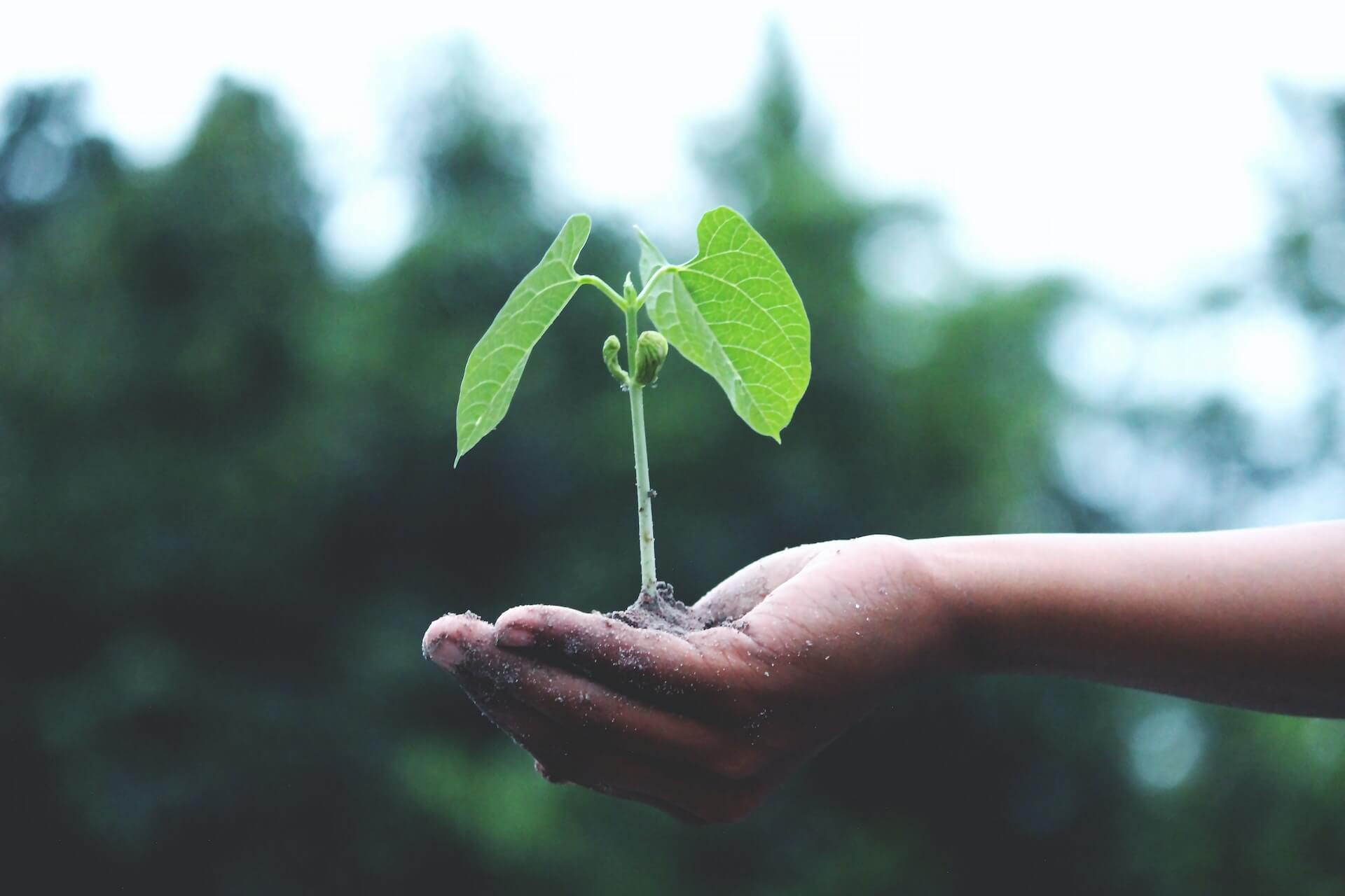 Embrace Sustainability: Shop for Eco-Friendly Products with Discount Codes